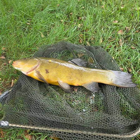 Feriehus Dom Nad Jeziorem- Zakatek Mala Kołczewo