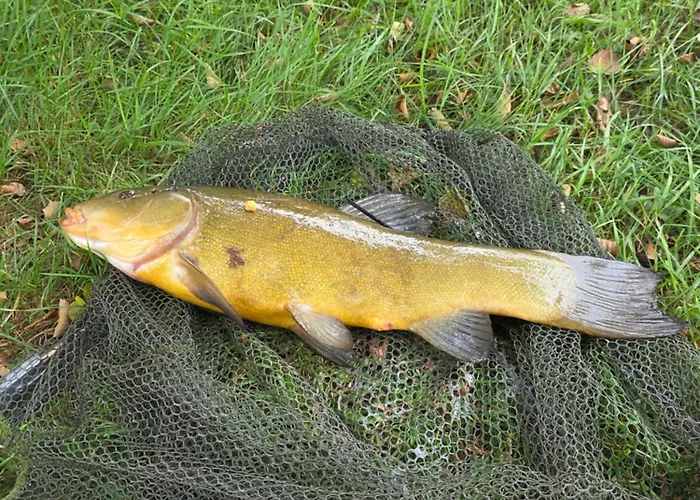 Сasa de vacaciones Dom Nad Jeziorem- Zakatek Mala Kołczewo